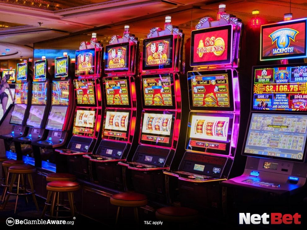 vividragonpg|Slots Grátis – Jogue Sem Risco no Cassino Brasileiro